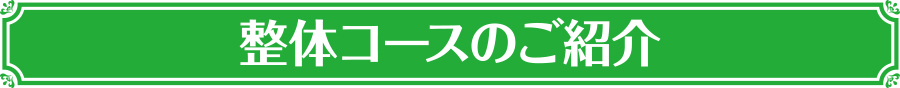 整体コースの紹介